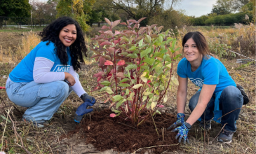 M1 team members plant a shrub